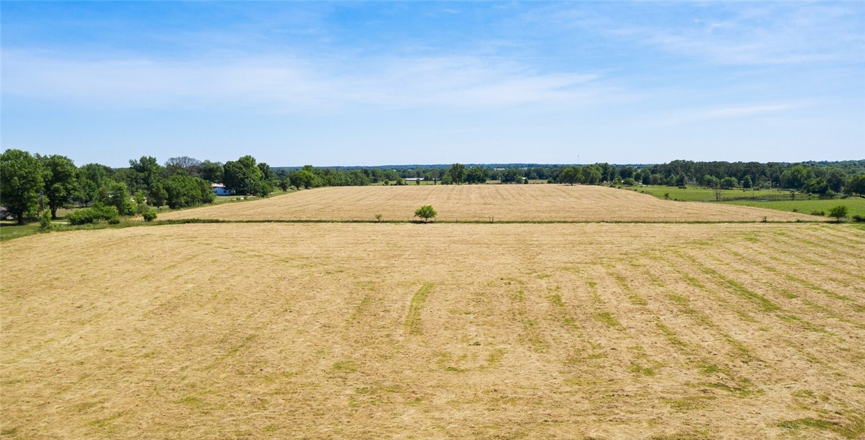Pea Ridge - Land
