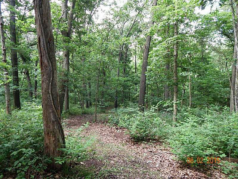 25-20-33 Rural - Land