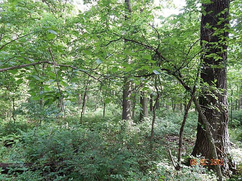 25-20-33 Rural - Land