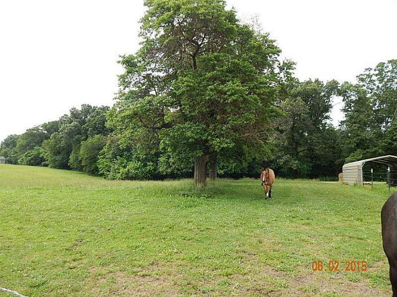 25-20-33 Rural - Land