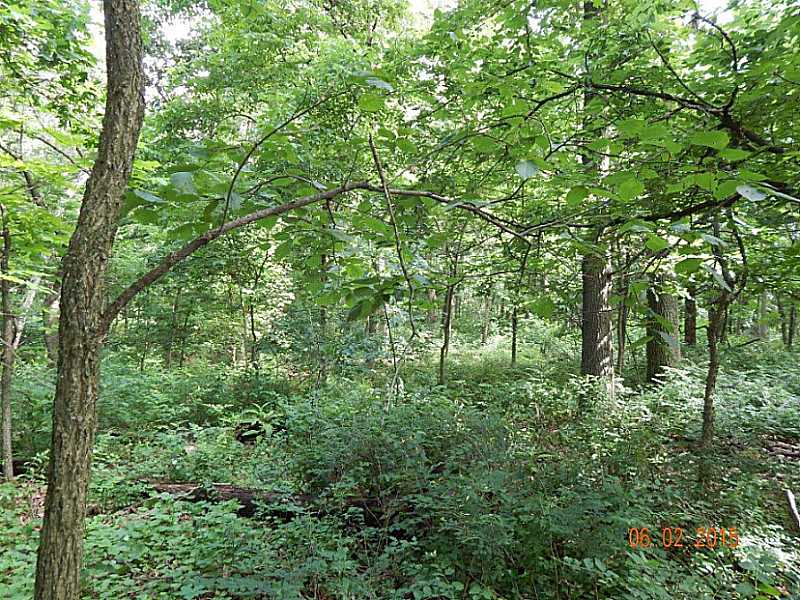 25-20-33 Rural - Land