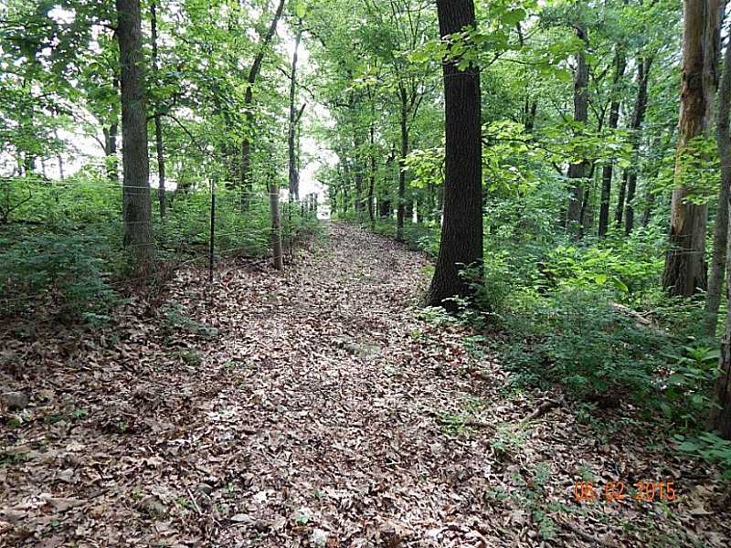 25-20-33 Rural - Land