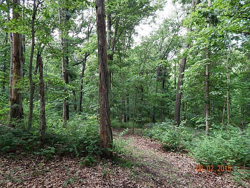 25-20-33 Rural - Land