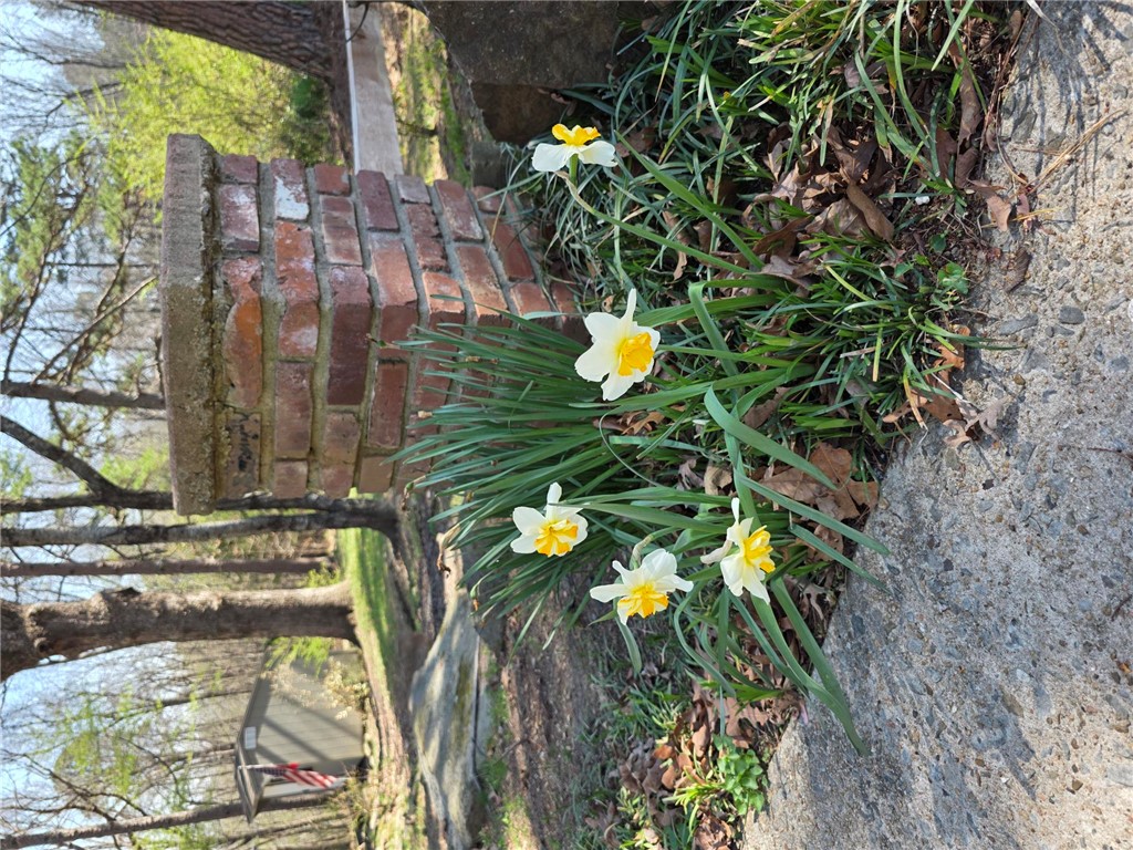 Ridgecrest - Residential