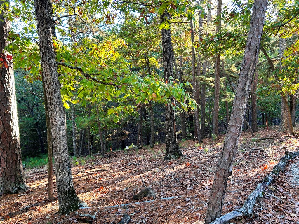 Come build your dream home on this lot located right in the heart of town! Wooded, private and a paved road! City utilities available including underground electricity. Walk to shopping and historic downtown Eureka Springs.