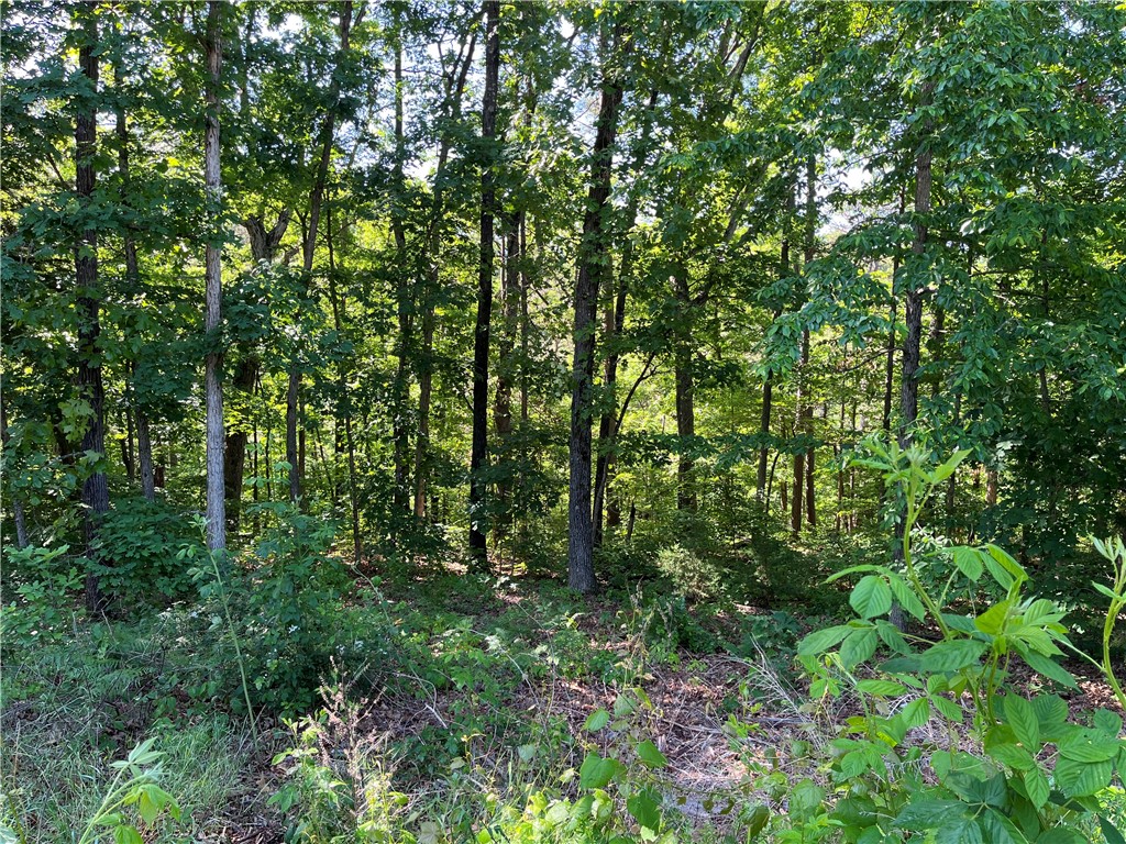 Welcome to this sloping lot that offers great views when cleared. Located in a quiet, friendly neighborhood near Lake Ann, Back 40 trails, Pinion Creek Falls, and the Bentonville school district. Listed at a low price point for Bella Vista, you won't want to miss out on this lot.