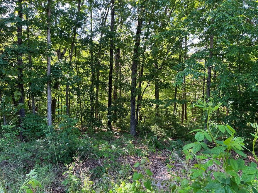 Welcome to this sloping lot that offers great views when cleared. Located in a quiet, friendly neighborhood near Lake Ann, Back 40 trails, Pinion Creek Falls, and the Bentonville school district. Listed at a low price point for Bella Vista, you won't want to miss out on this lot.