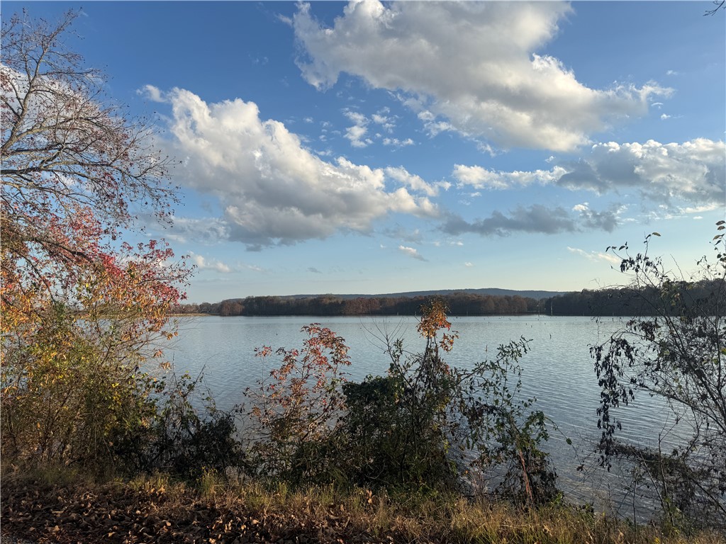 Zarlingos Lake Atkins - Land
