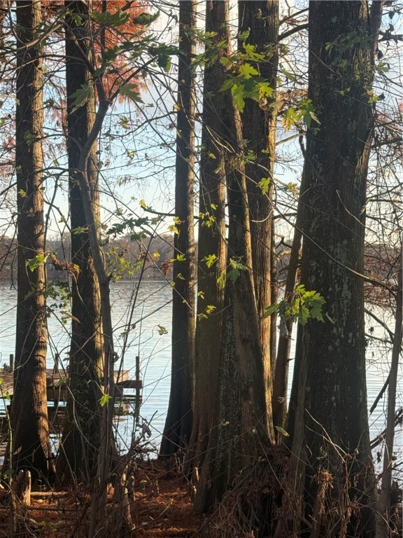 Zarlingos Lake Atkins - Land