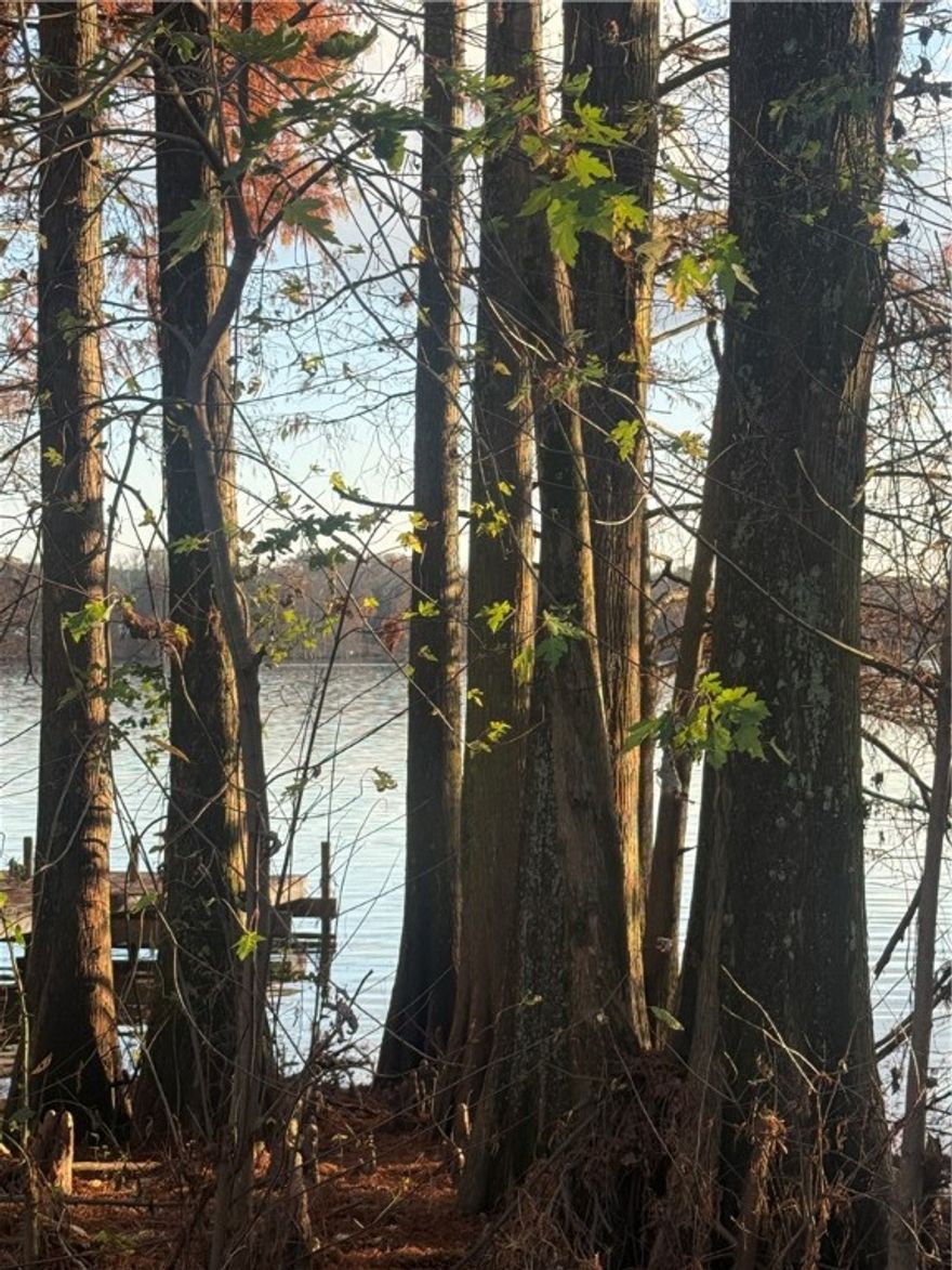 Have amazing sunset views over Lake Atkins from your very own private lot. Just minutes to fishing docks and lake access points, you'll never run out of hobbies or get tired of the scenery around you.