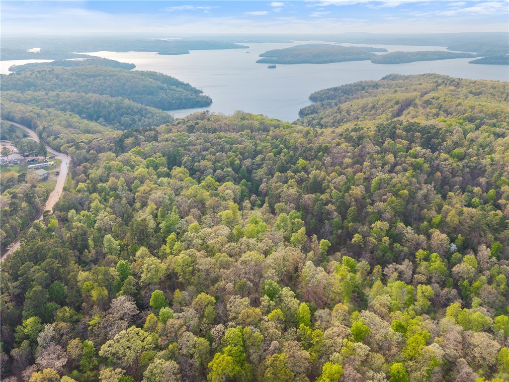 This property is a real gem with 550 ft of lake front. Not only does it have a exceptional view there is a boat launch right up the road about 1 1/2 miles that puts you in at hogscald, the party cove, and a Marina is close by. Just a few coves over they will be putting in a boardwalk and campground area so the potential is amazing. Water is on sight with a dry tap from the Water District. This entire property is unrestricted offering endless investment alternatives. The Water District needs keep the dirt road constantly maintained. This property has also been listed as part of larger tract see MLS 1304777.