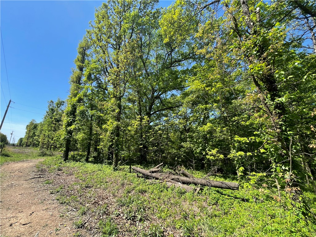 22-19-32-RURAL - Land