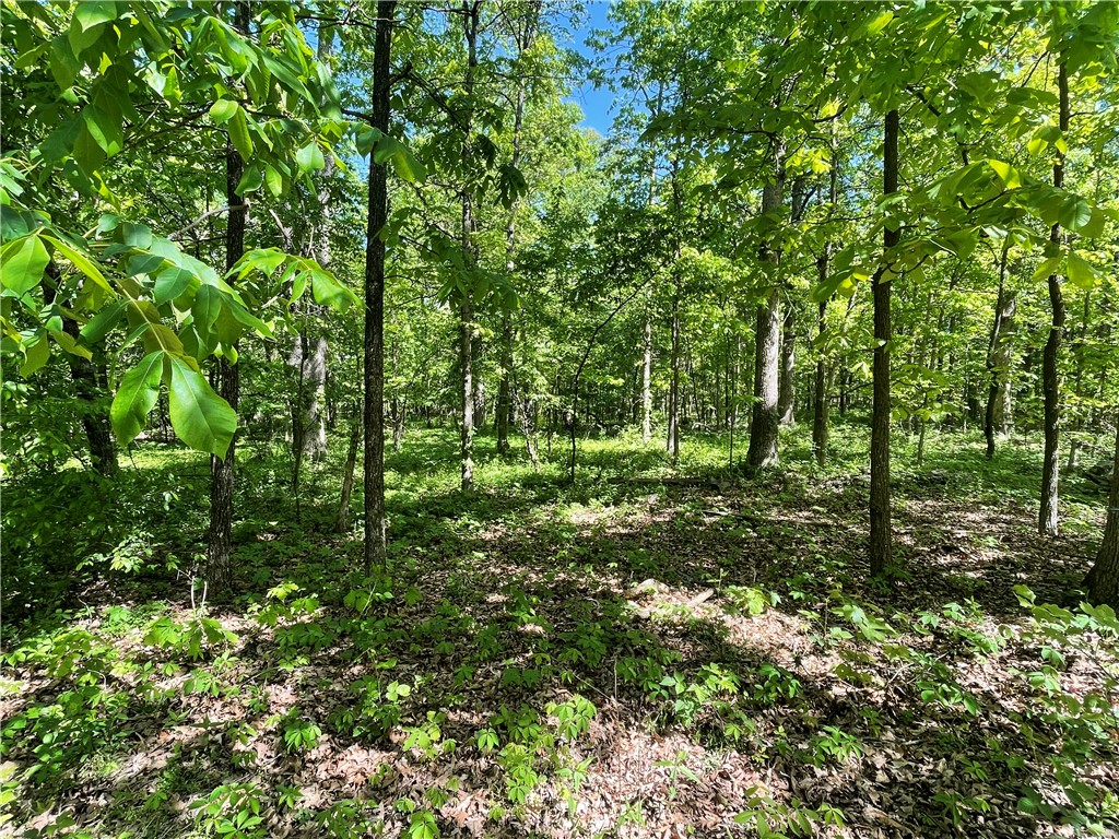 22-19-32-RURAL - Land