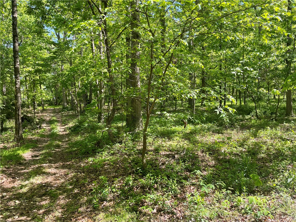 22-19-32-RURAL - Land