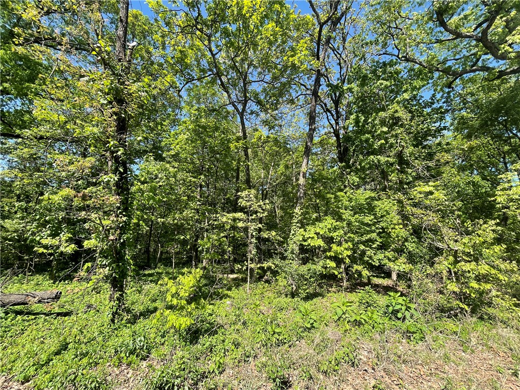 22-19-32-RURAL - Land