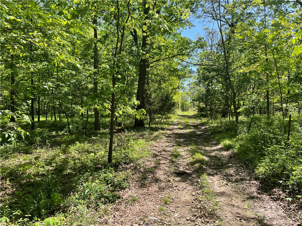 22-19-32-RURAL - Land