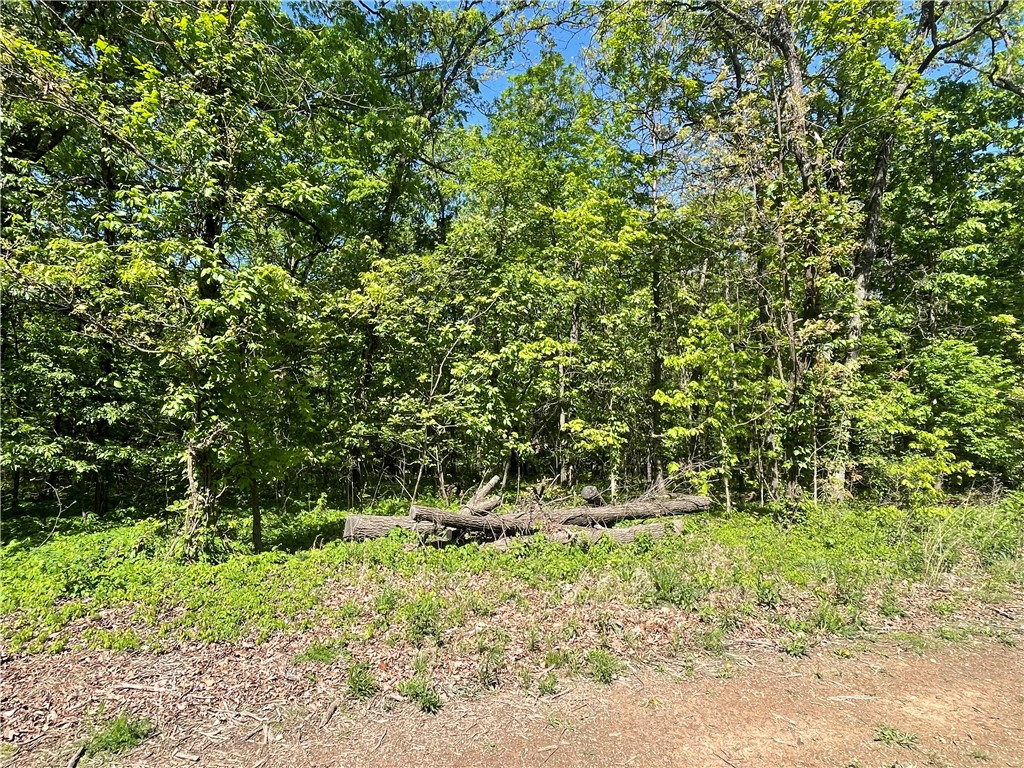 22-19-32-RURAL - Land