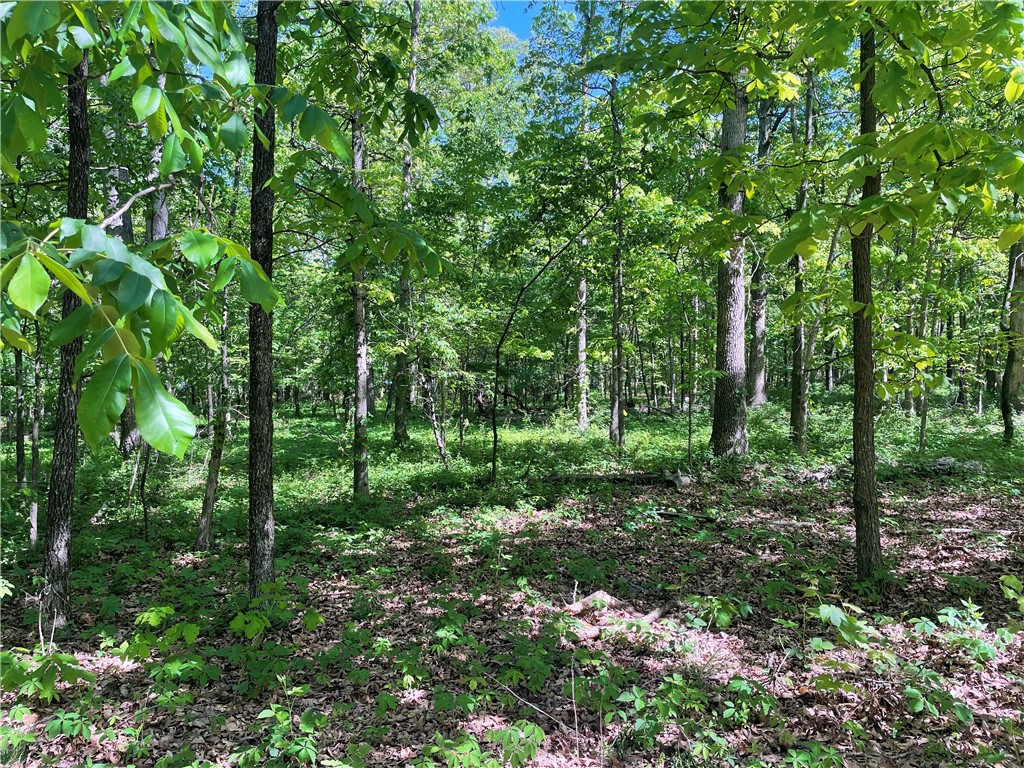 22-19-32-RURAL - Land