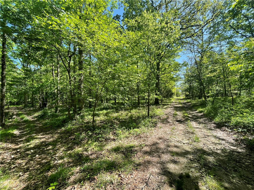 22-19-32-RURAL - Land