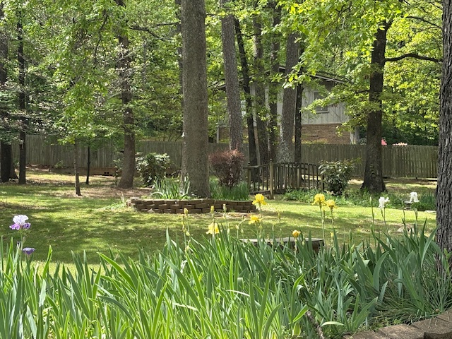 Pine Crest Hill - Residential