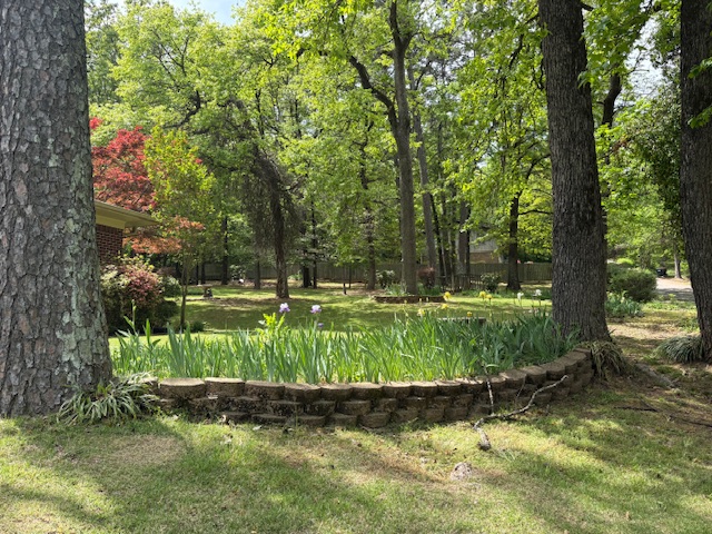 Pine Crest Hill - Residential