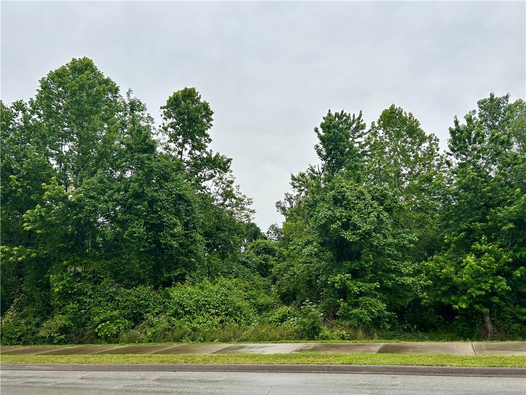 Prime 4.46 Acres in the Heart of Russellville- Endless Possiblilities!
Welcome to a rare opportunity in the thriving town of Russellville! This beautiful 4.46 Acre parcel offers the perfect blend of space, convenience, and potential. Located within city limits, this property provides easy access to shopping, schools, parks, and major roadways-while still offering the tranquility and openness of a larger lot. Peaceful setting just minutes from downtown amenities. Great for builders, investors, or someone ready to creat their dream home. Room for multiple homes, or a home with shop and a garden. Don't miss out on this unique opportunity to own a large, versatile piece of land in on of Arkansas's most desirable small towns. Whether you're looking to build, invest, or simply enjoy more space in town-this property delivers.
