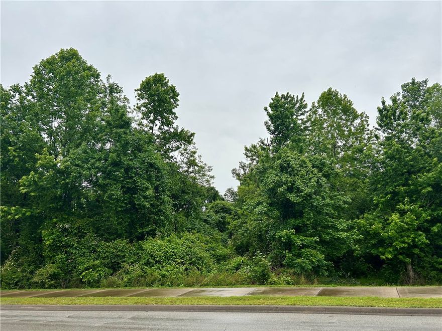 Prime 4.46 Acres in the Heart of Russellville- Endless Possiblilities!
Welcome to a rare opportunity in the thriving town of Russellville! This beautiful 4.46 Acre parcel offers the perfect blend of space, convenience, and potential. Located within city limits, this property provides easy access to shopping, schools, parks, and major roadways-while still offering the tranquility and openness of a larger lot. Peaceful setting just minutes from downtown amenities. Great for builders, investors, or someone ready to creat their dream home. Room for multiple homes, or a home with shop and a garden. Don't miss out on this unique opportunity to own a large, versatile piece of land in on of Arkansas's most desirable small towns.  Whether you're looking to build, invest, or simply enjoy more space in town-this property delivers.