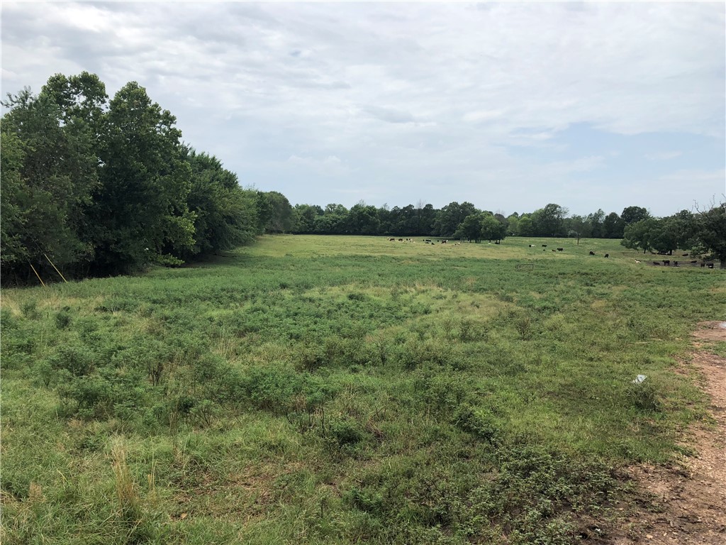 Farmington Outlots 2008 Annex - Land