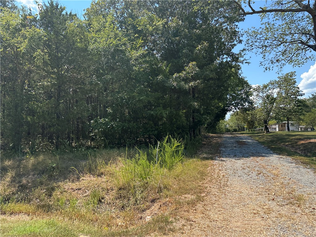 Great 2.05 acre m/l tract located right on HWY 125 N in Peel, AR. With highway frontage and east access, this property is an excellent spot for a home, cabin or small getaway. Mostly wooded with plenty of shade trees and natural beauty, it offers privacy while still being close to Bull Shoals Lake and all the outdoor recreation the area has to offer. Convenient location with endless potential-don't miss this one!