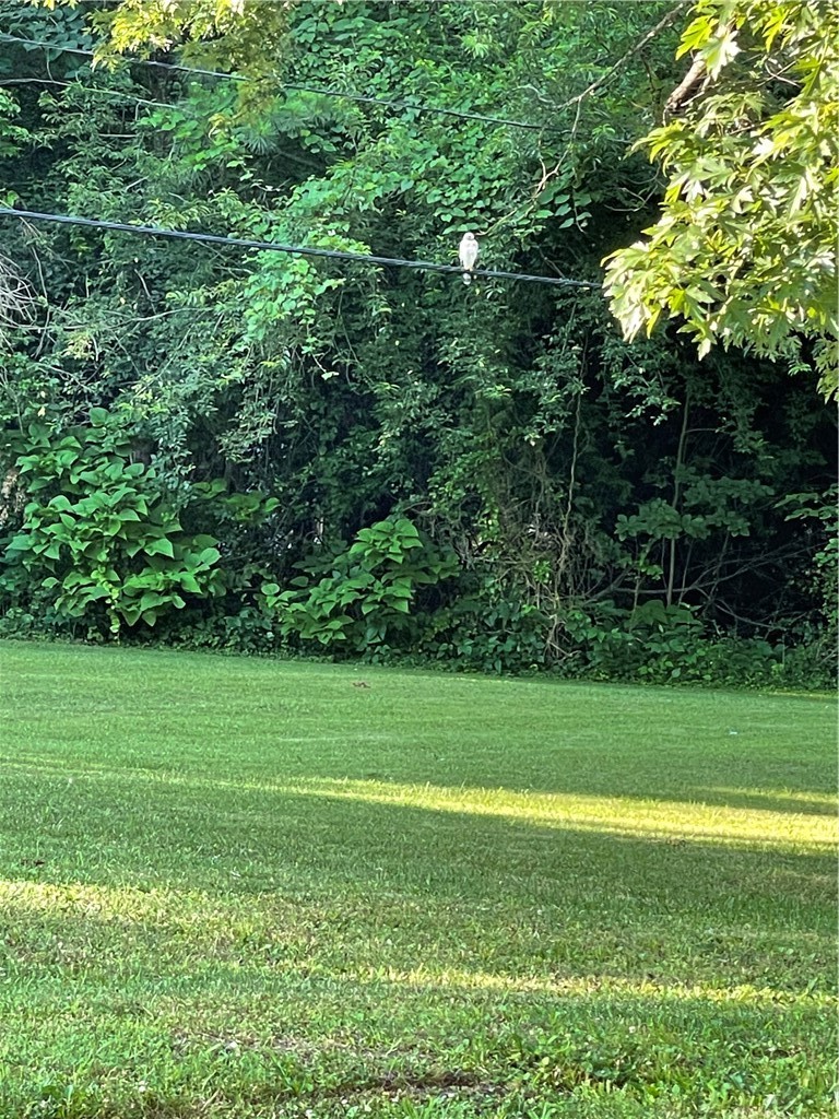 West Fork Outlots - Residential