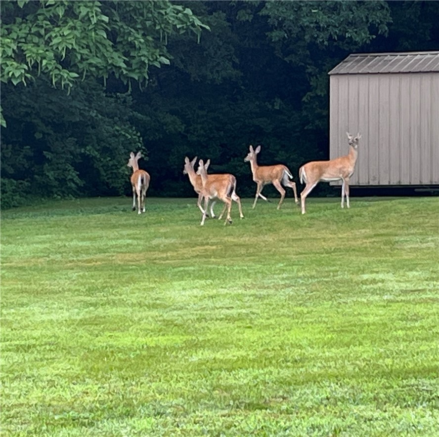 West Fork Outlots - Residential