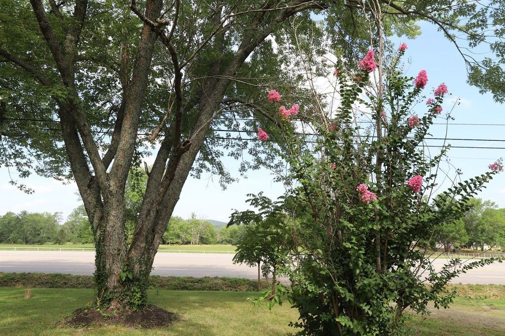 West Fork Outlots - Residential