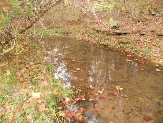 MT HERSHEY, WESTERN GROVE, AR 72685 - Image a65a7ab31f7bc8e2fc11ecd878070c3a/4013303780
