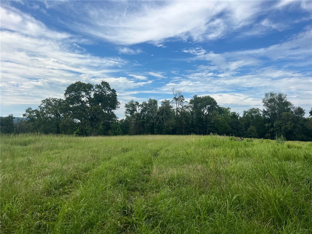 Discover the perfect opportunity to build your dream home or private retreat on this stunning 13-acre parcel located just off St. Joe Road, minutes from the breathtaking views of Meadow on the Mountain. Nestled in a peaceful rural setting, this property offers the ideal blend of seclusion and accessibility with gently rolling terrain, wooded privacy, and room to roam.Deed Restrictions include:
No manufactured homes
No Airbnb or short-term rentals
No commercial hog houses
Schedule your showing today and explore all that this beautiful property has to offer.