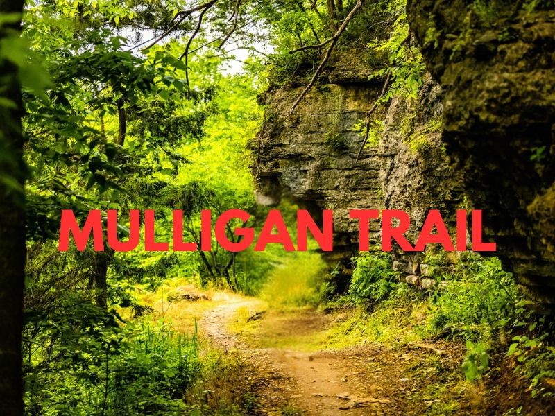 Morganshire Sub Bvv - Residential