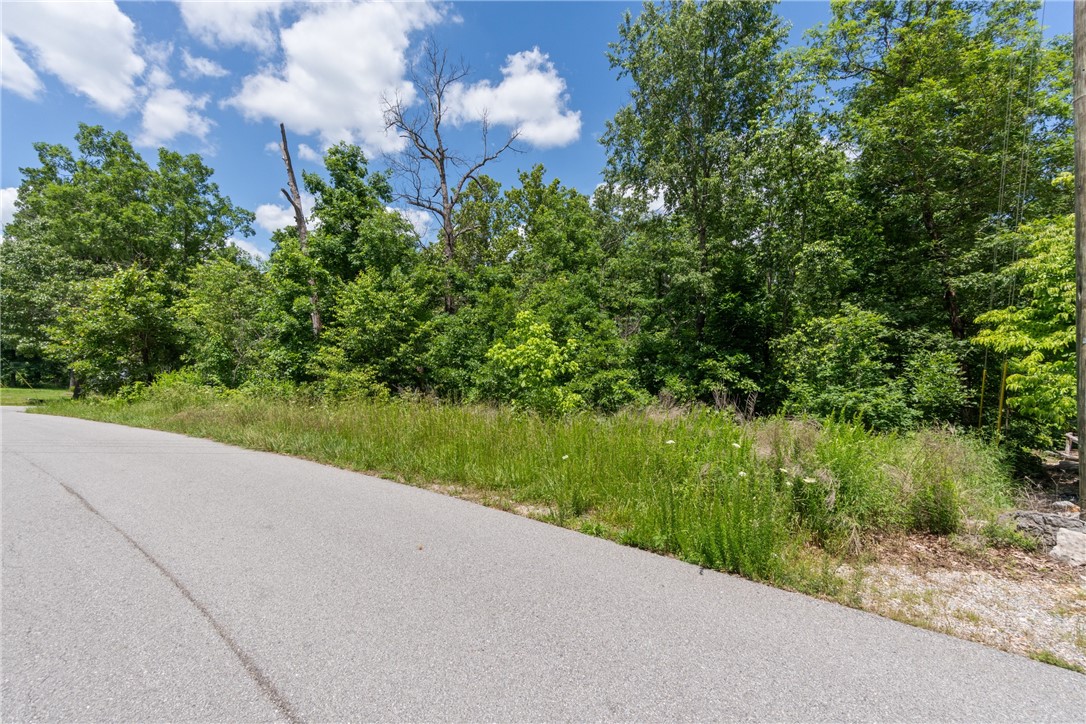 Buildable .27 acre lot. Enjoy all the amenities Bella Vista has to offer. Back 40 trail nearby for the bike enthusiasts.