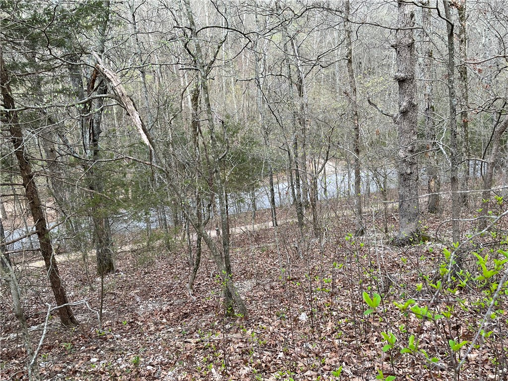 Bamboozled Trail Directly Behind Lot, Ride and Return to your Home, Lot Size .30 acres, Level Lot after sloping off of the street, Convenient Location to Pineville Businesses, Easy Access to I-49 Hwy, Bentonville School District, Lake Avalon close by with Sandy Beach, Decisions to make, golf either at Bella Vista Country Club or Scotsdale Golf Course Nearby, Bella Vista POA monthly Lot Fee $16 - allows access to (7) Lakes, (6) Golf Courses, (2) Outdoors Swimming Pools, (1) Indoors Swimming Pool, (3) Workout Centers, Tennis Courses, Disc Golf, Gun Range, Golf Driving Range, Walking Trails, 100+ Miles of Mountain Biking Trails, (1) Sandy Beach, Pro Golf Shops, Fishing Docks, and much more.
