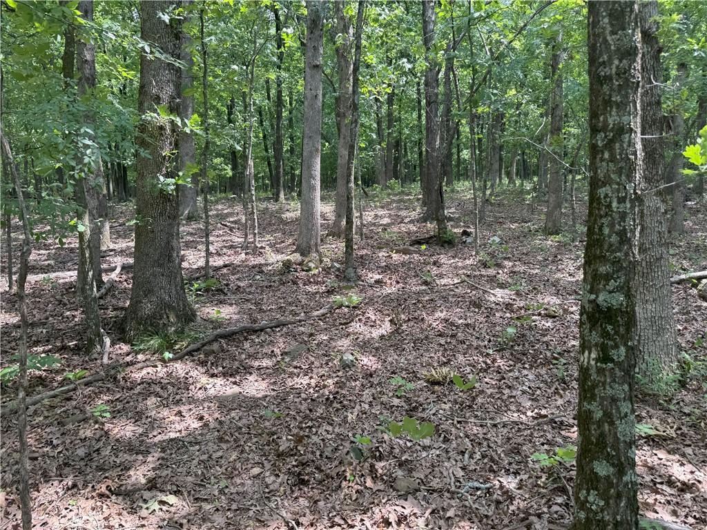 Escape to the Ozarks with this beautiful 13.5± acre wooded tract in Cane Hill, just off CR 284/Four Corners Rd. This unrestricted land offers privacy, mature timber, natural rock outcroppings, and gently rolling topographyāideal for a cabin, homestead, or recreational use. No covenants, no HOA, and outside city limits. Rural Water across street, Electric nearby (buyer to verify);septic or off-grid potential. Abundant wildlife and natural trails throughout. Just 25 miles to Fayetteville, 3 miles to West Fork. Coordinates: 35°51'44.1"N 94°22'27.4"W. Donāt miss this rare rural opportunity in fast-growing NWA!
