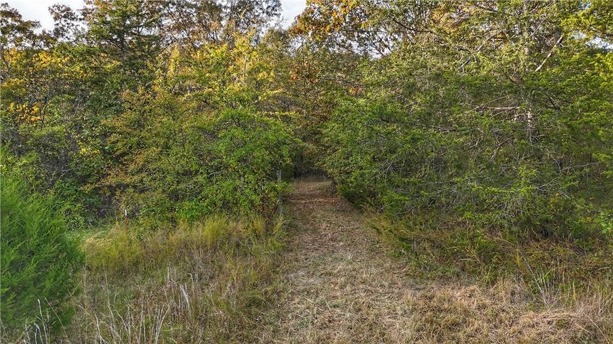 Escape the noise without sacrificing convenience. This extraordinary 40-acre tract offers the perfect blend of deep seclusion and immediate usability, located less than 30 minutes from the amenities of Harrison, Arkansas.
Imagine waking up on your own private slice of the Ozarks, where the only neighbors are the abundant wildlife. With ample wildlife and proven habitat, this property is a hunter's paradise, offering year-round recreational opportunities right outside your door.
For those ready to build their dream home or cabin, the utilities are already in place Multiple great building sites are available, and the land is already equipped with a shop building for immediate use, storage, or a base camp.