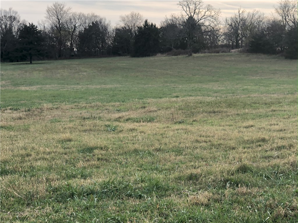 Great level land with stream running through the property. Great farm or hay meadow. Beautiful open land. Agent owned