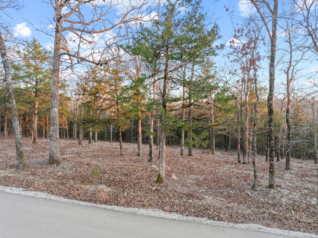 Check out this partially cleared lot near Bull Shoals Lake. Bring all of your lake toys and create your dream oasis.