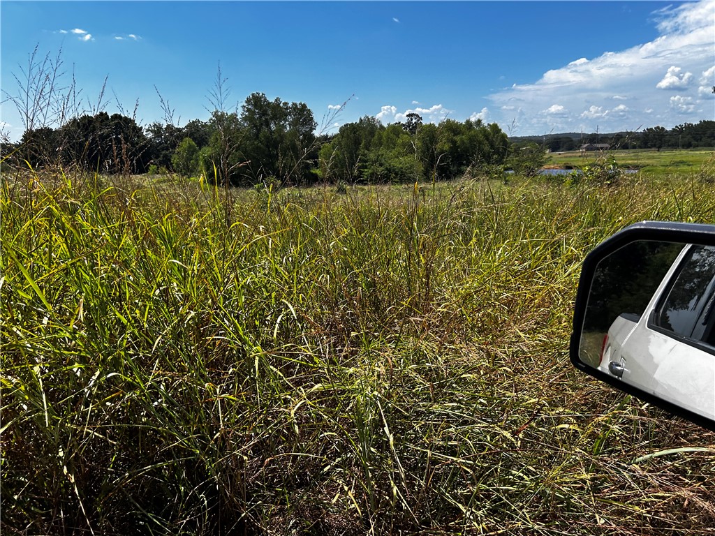 Open, level to slightly rolling pasture land. Great opportunity for development.