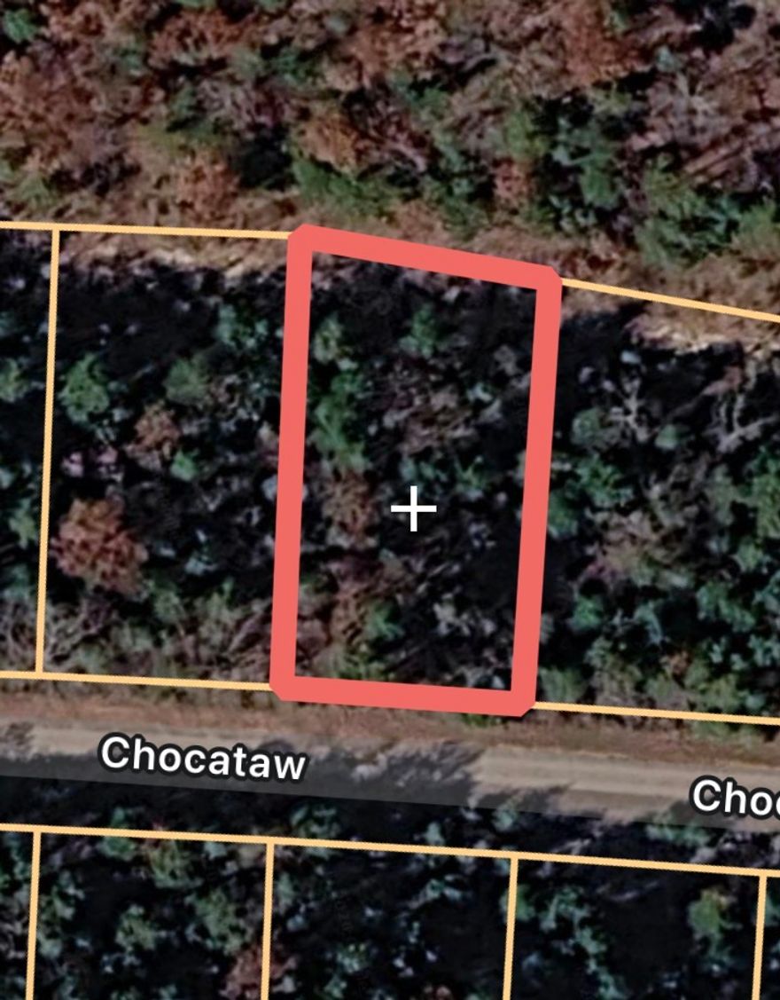 Don’t miss this priced-to-sell opportunity! This mostly flat lot is ideally situated off a quiet, secluded road, offering a peaceful setting for your future build. A quick comparison shows this is one of the best values in its price range—perfect for building or investing.