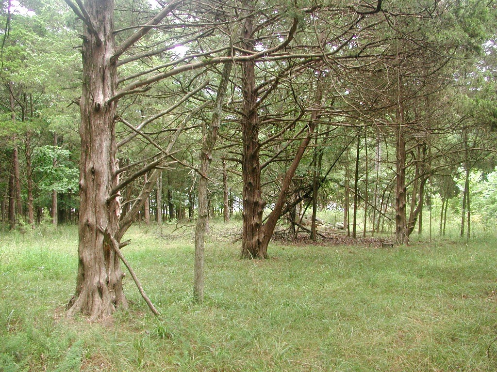 This 1.98 acre lot has approx 105 feet of lake frontage. Lot is secluded, level and ready to build your perfect lake house. Public water, electric & septic all on site. No dock with property.