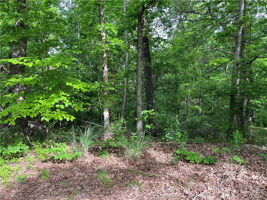 Nestled in a quiet cul-de-sac just a 5 min walk (.2 miles) to the Loch Lomond boat ramp and a 4 min drive (1.6 miles) to the Branchwood Recreation center. This beautifully wooded lot would offer your home secluded peace with convenient travel to any activities Bella Vista has to offer. The short commute to I-49 makes it possible for anyone looking to live in NWA.