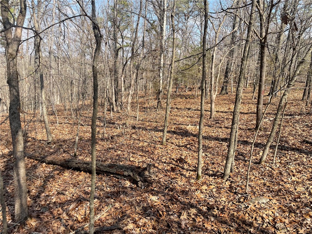 13-19-27 - Land