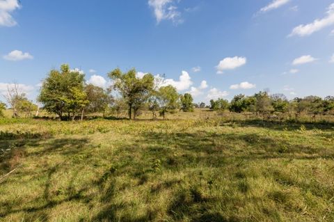 Unimproved Land in Gentry AR 16.75 Acres Bryant Road 26.jpg