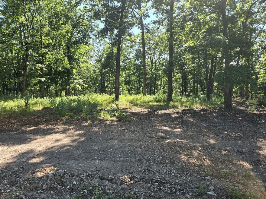 Perfect opportunity to build your dream home on this +/- 3.34-acre wooded residential lot, located just 5
miles from the Beaver Lake Boat Ramp and Lakeshore. Tucked away in a secluded, peaceful setting, this
property offers a quiet rural lifestyle with convenient access to town. Electric is already available on-site,
while a water well and septic system will be needed. With County Zoning, the current site plan is
preliminary and can be tailored to suit your needs in both size and shape, offering flexibility for your ideal build. Esculapia Hollow Rd is currently a dirt road, however, it is set to be paved this summer. Ideally situated approx. 3.5 miles from Lake Atlanta, 4 miles from Downtown Rogers, and 6 miles from Horseshoe Bend Marina, this lot provides the best of both worlds - tranquil living with easy access to outdoor recreation, shopping, dining, and more. Don't miss out on this prime piece of Northwest Arkansas real estate!