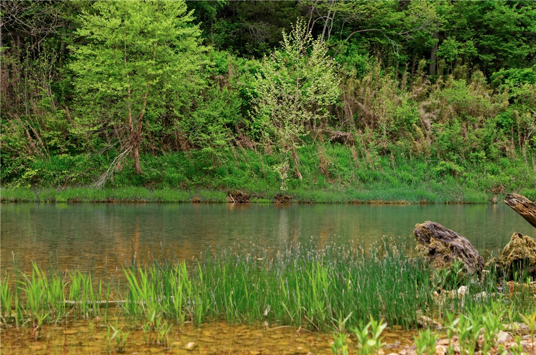 McClung Sub Div - Residential