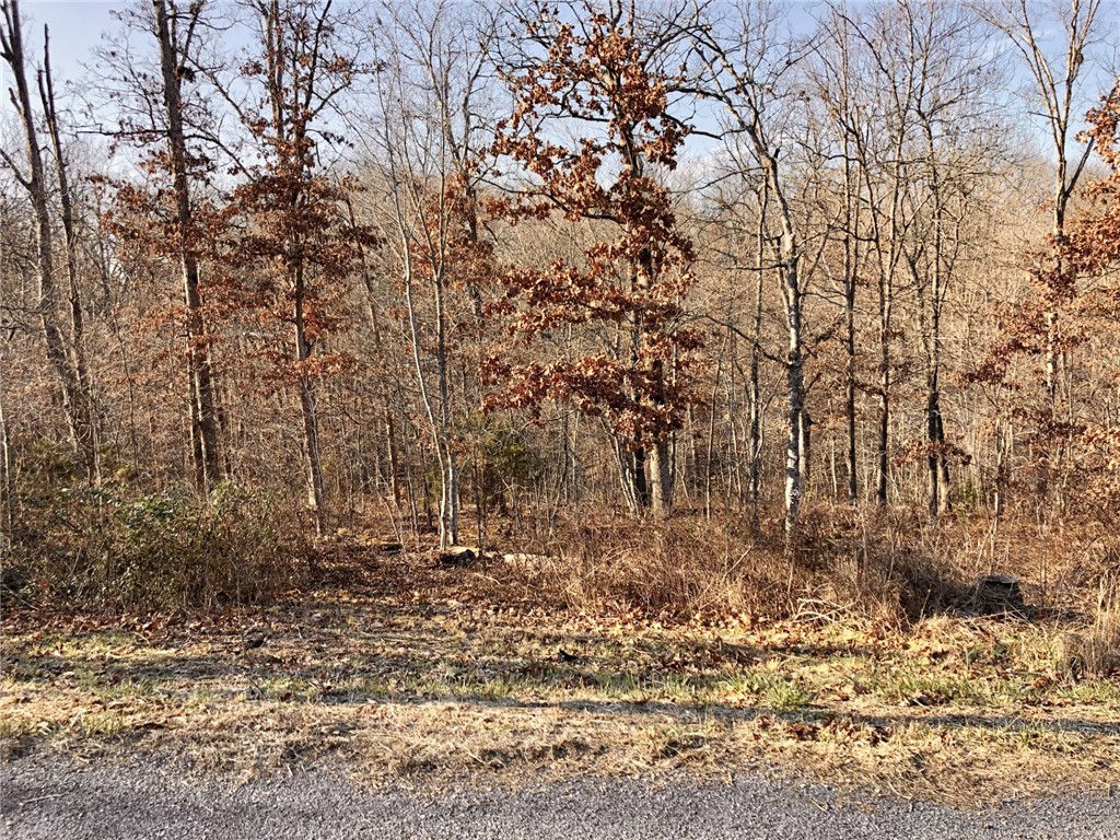 Monmouth Sub Bvv - Land